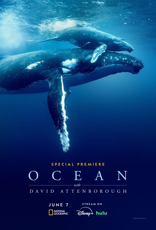 Ocean with David Attenborough