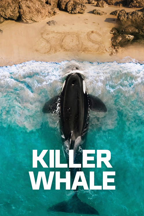 Killer Whale
